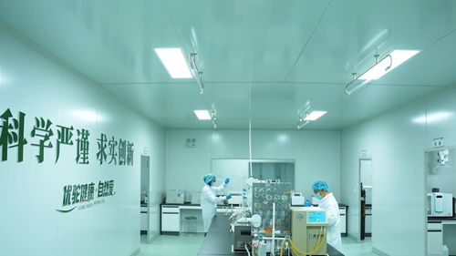 新疆木壘 優駝長眉駝工廠投產，以生物科技驅動全產業鏈，擘畫鄉村振興新藍圖