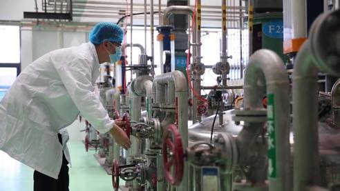 責任民企顯擔當，靠上服務助復產——泰安生物技術企業馳援抗疫一線