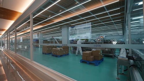 未來生物 以卓越品質與專業(yè)服務，鑄就生物技術開發(fā)領域的信賴之選