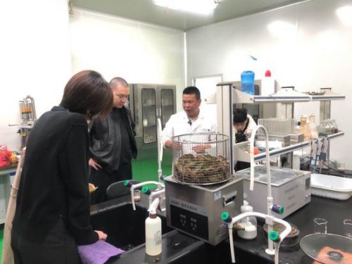 科技賦能農業(yè)新篇章 CCTV 1聚焦云谷田園LED植物工廠，珍稀本草金線蓮成功培育引領生物技術新服務